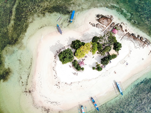 You are currently viewing Wisata Kuliner Makanan Laut Segar dan Mencicipi Makanan di Pulau Komodo
